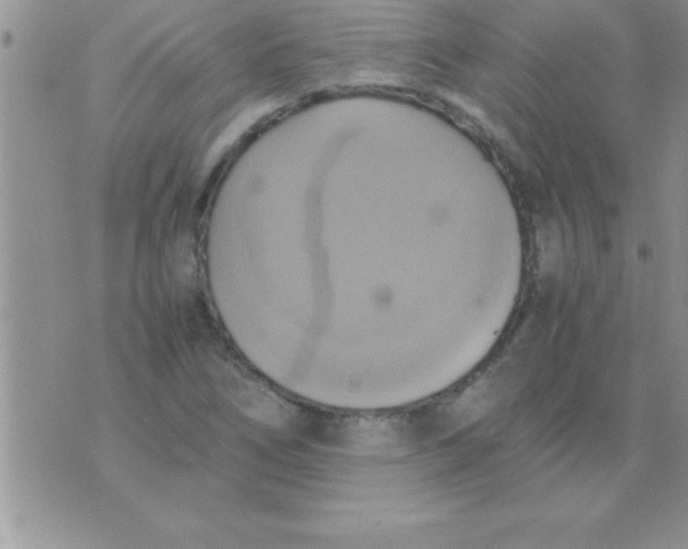 X0000075891266200610062044