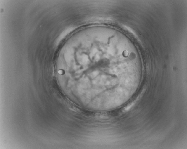 X0000075891267200610062044