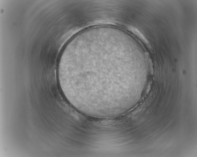 X0000075891268200610062044