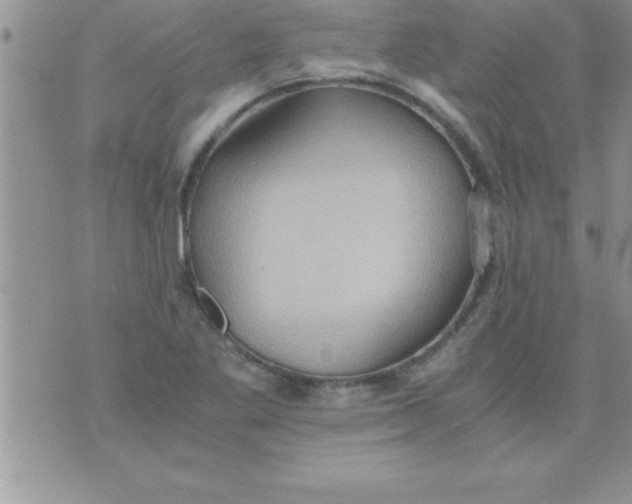 X0000075891269200610062044