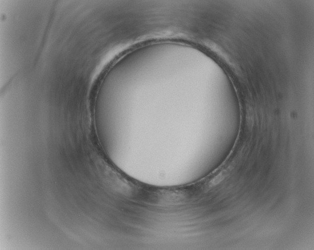 X0000075891270200610062044