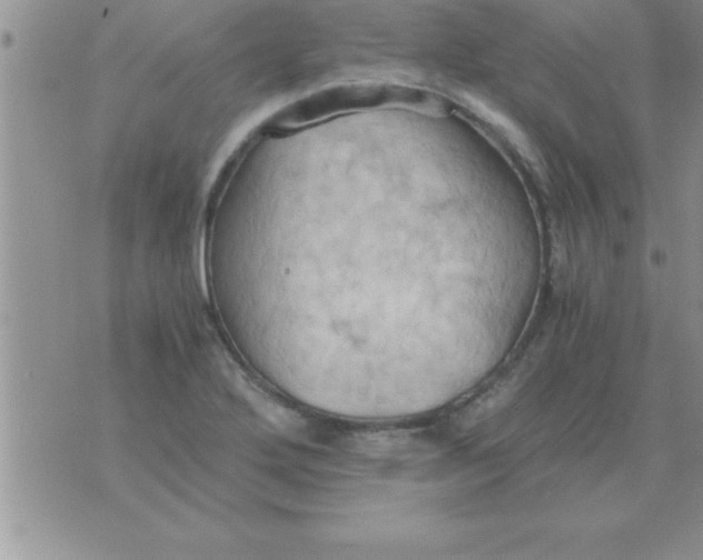 X0000075891272200610062044