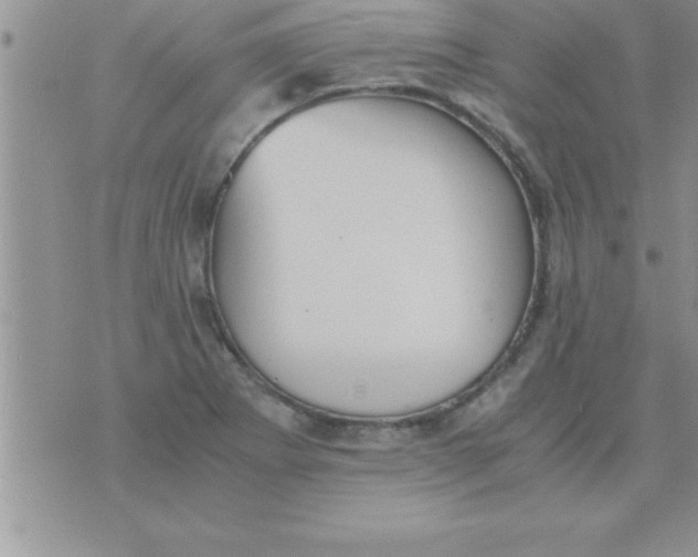 X0000075891273200610062044