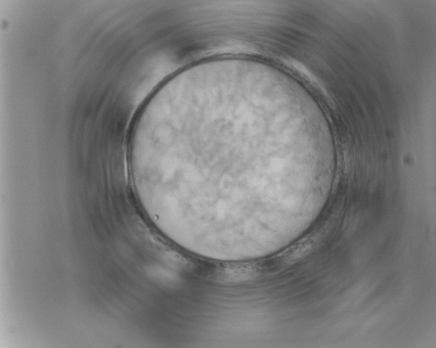 X0000075891274200610062044