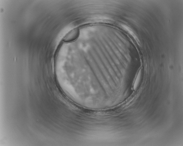 X0000075891275200610062044