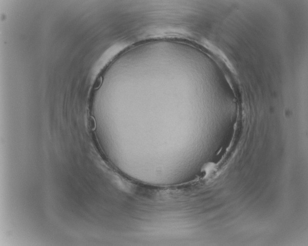 X0000075891277200610062044