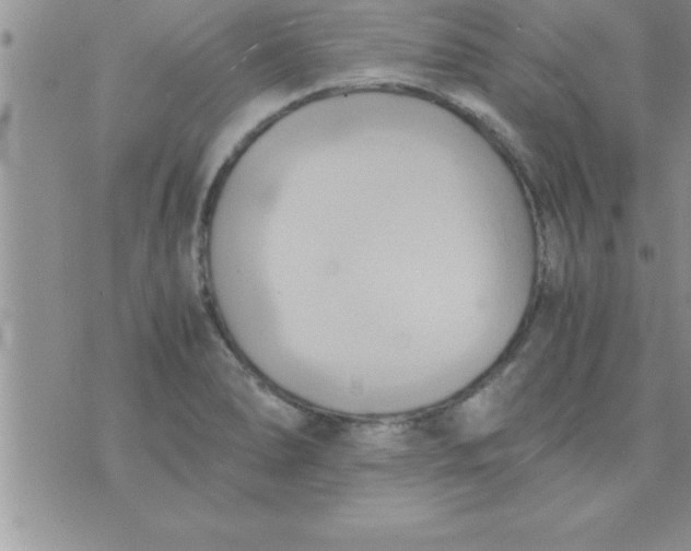 X0000075891278200610062044