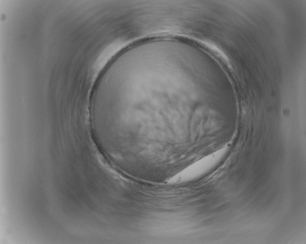 X0000075891279200610062043