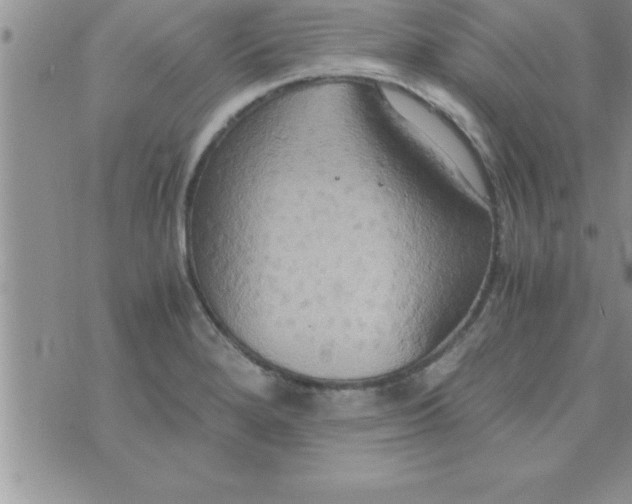 X0000075891280200610062043