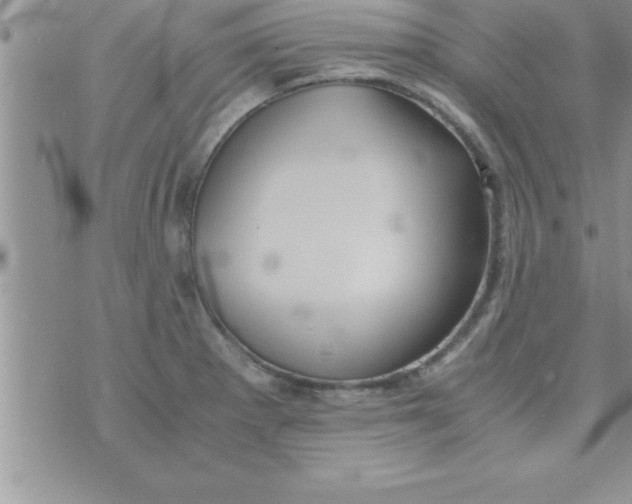 X0000075891281200610062043