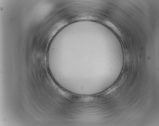 X0000075891282200610062043