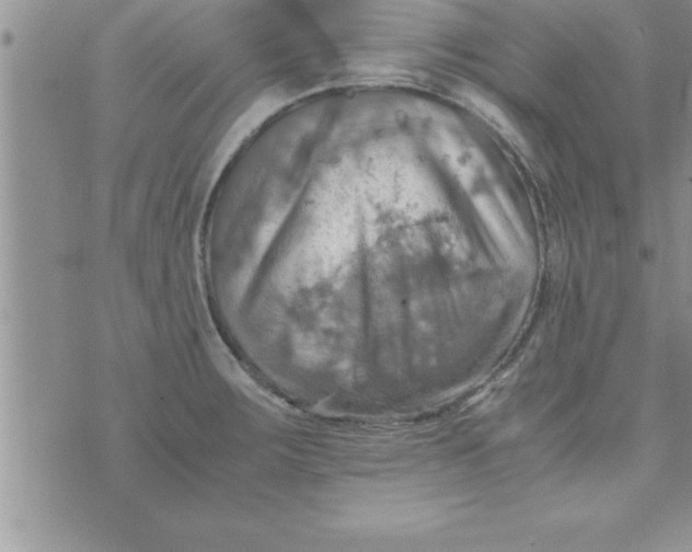 X0000075891283200610062043