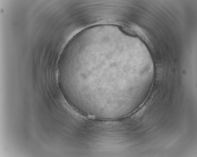 X0000075891284200610062043