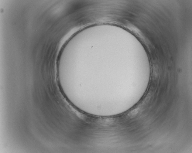 X0000075891286200610062043