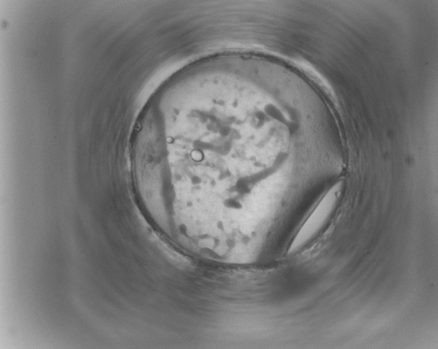 X0000075891287200610062043