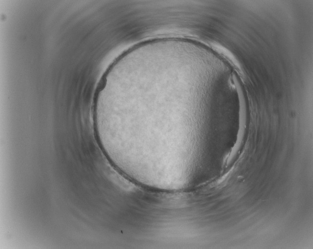 X0000075891288200610062043