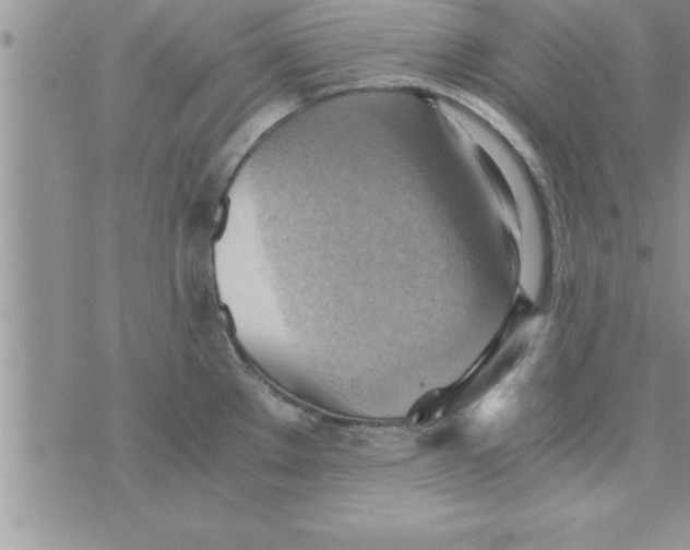 X0000075891289200610062043