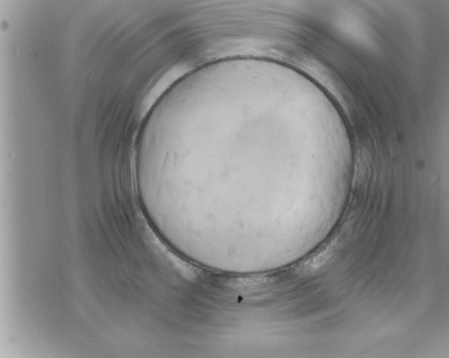 X0000075891290200610062043