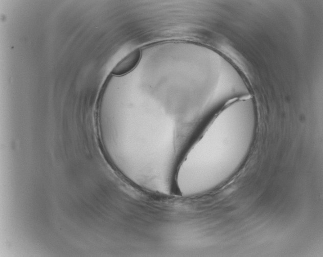 X0000075891291200610062043