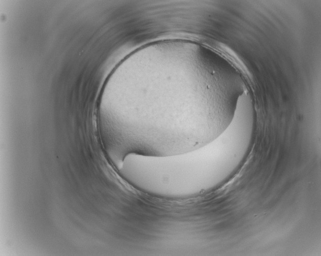 X0000075891292200610062043