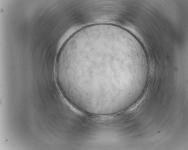 X0000075891294200610062043