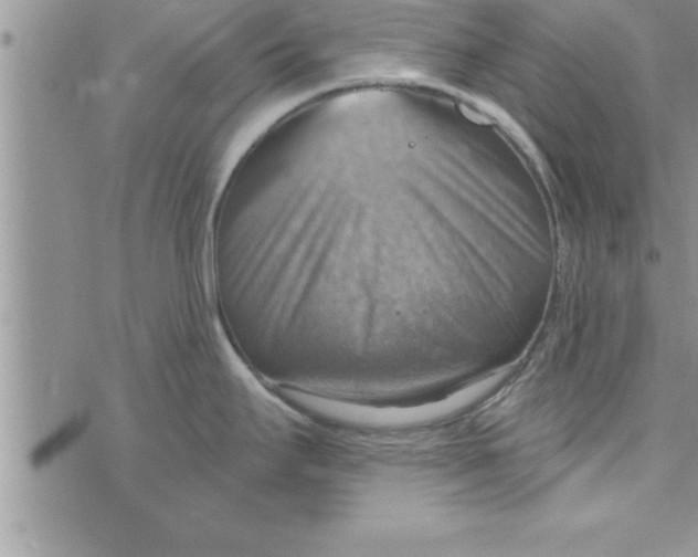 X0000075891295200610062043