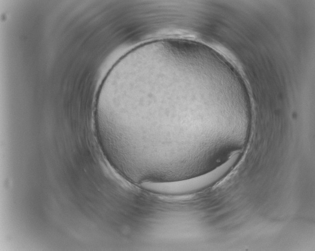 X0000075891296200610062043