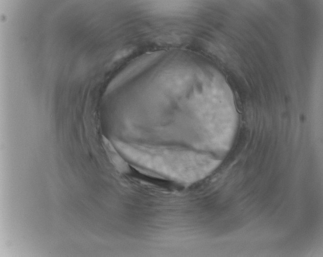 X0000075891297200610062042