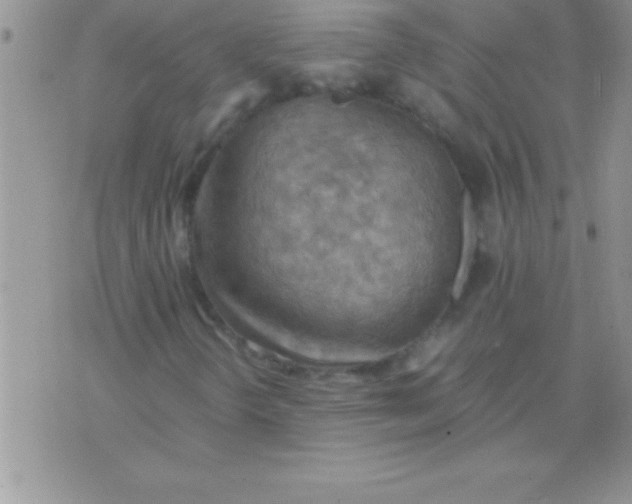 X0000075891298200610062042