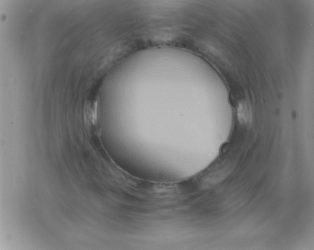 X0000075891299200610062042