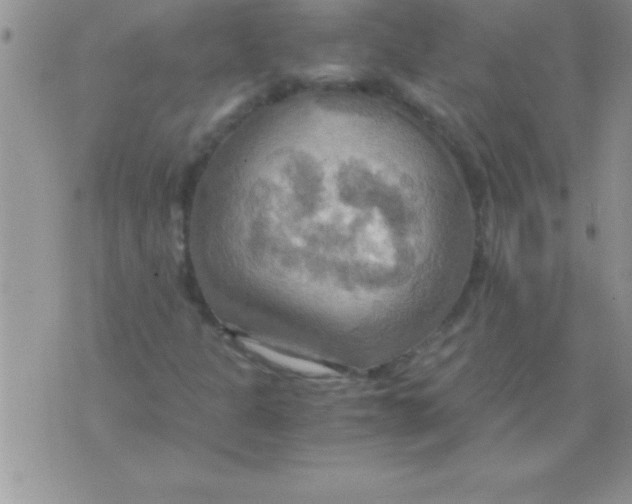 X0000075891301200610062043