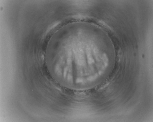 X0000075891302200610062043