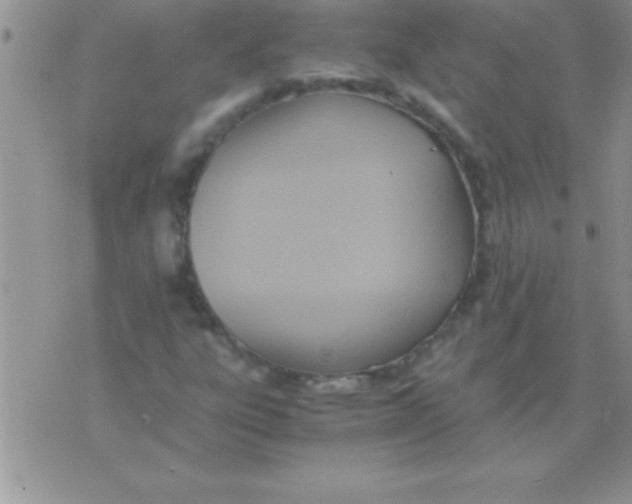 X0000075891303200610062043