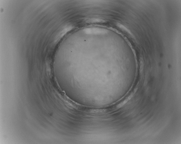 X0000075891305200610062043