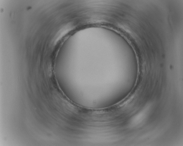 X0000075891306200610062043