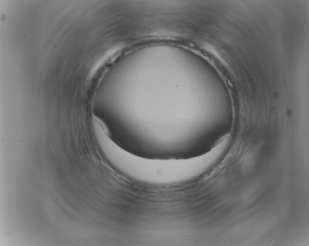 X0000075891307200610062043