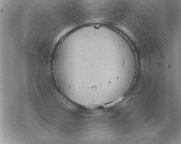 X0000075891308200610062043