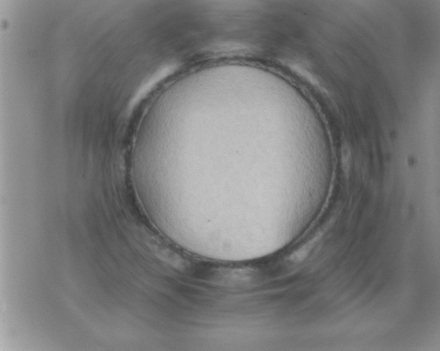 X0000075891309200610062043