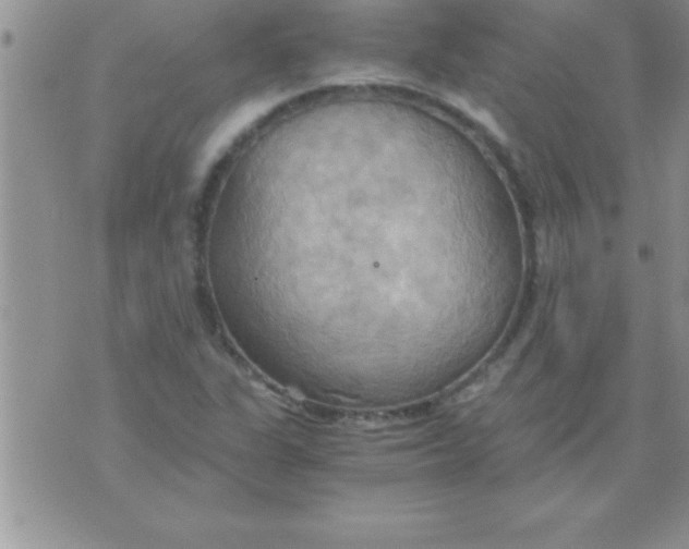 X0000075891311200610062043