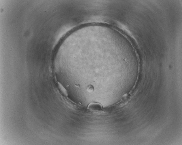 X0000075891312200610062043