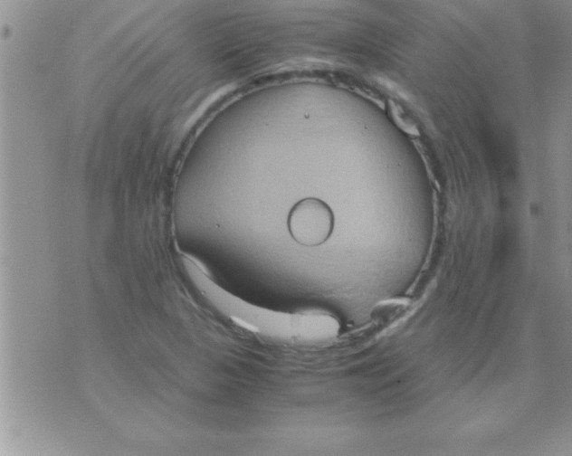 X0000075891313200610062043