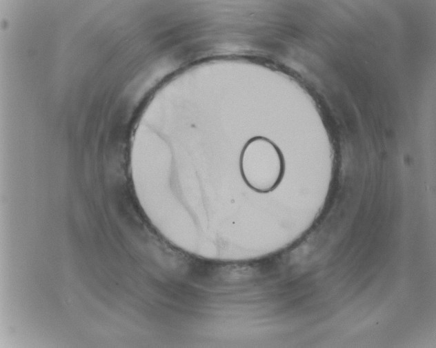 X0000075891314200610062043