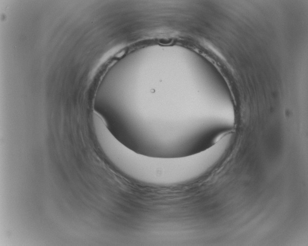 X0000075891315200610062043