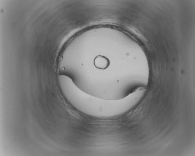 X0000075891316200610062043