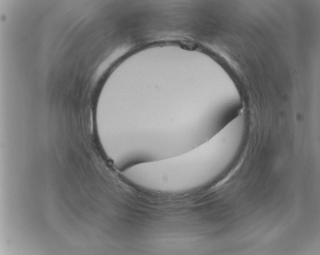 X0000075891317200610062043