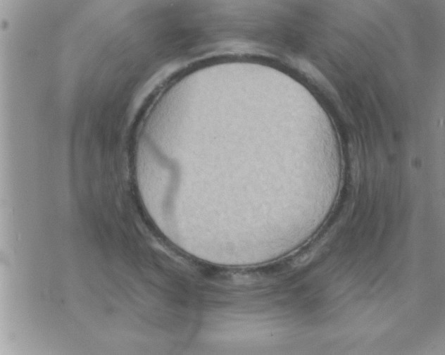 X0000075891318200610062043