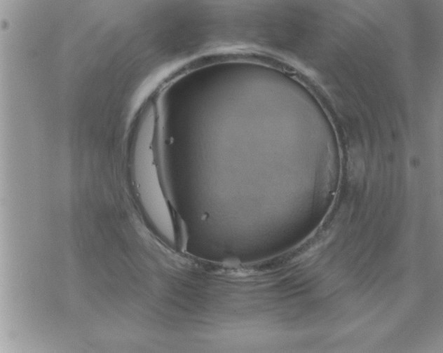 X0000075891319200610062043