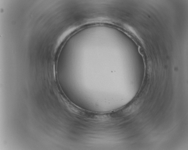 X0000075891320200610062043