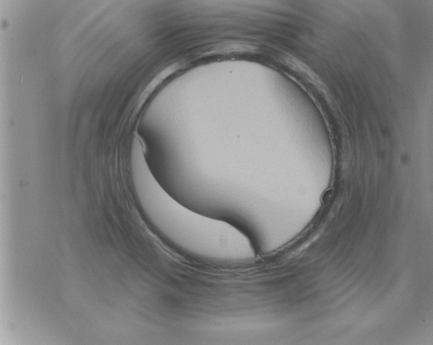 X0000075891321200610062043