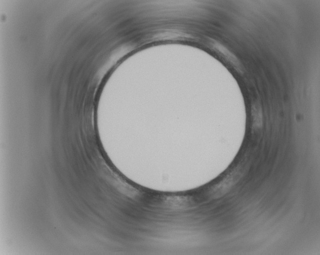 X0000075891322200610062043